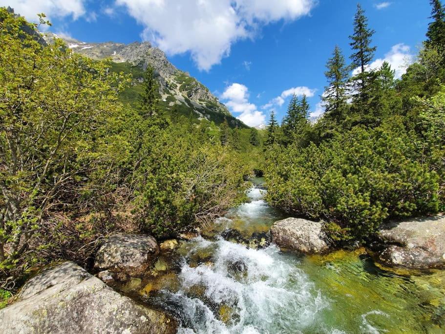 Apartman Ve Vysokych Tatrach Štrbské Pleso Esterno foto